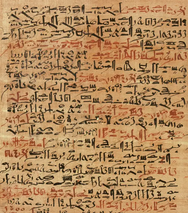 Page from the Edwin Smith surgical Papyrus