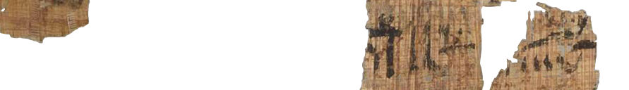 photo of the hieratic text