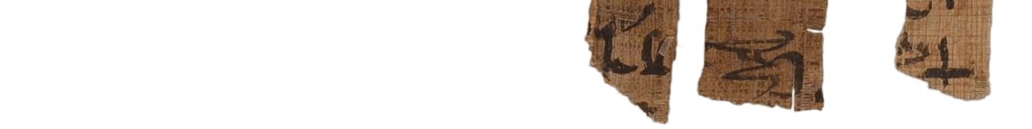 photo of the hieratic text