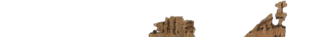 photo of the hieratic text