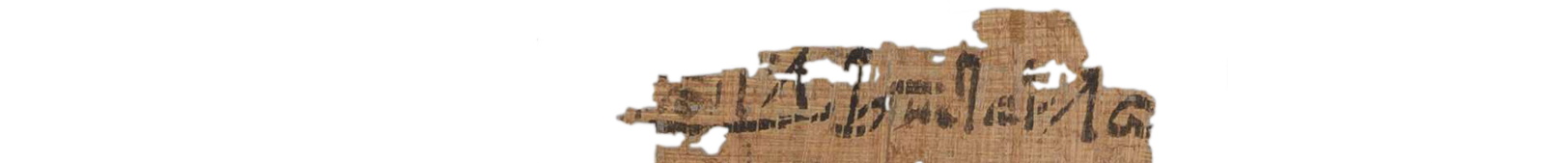 photo of the hieratic text