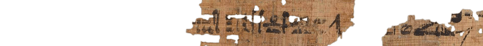 photo of the hieratic text