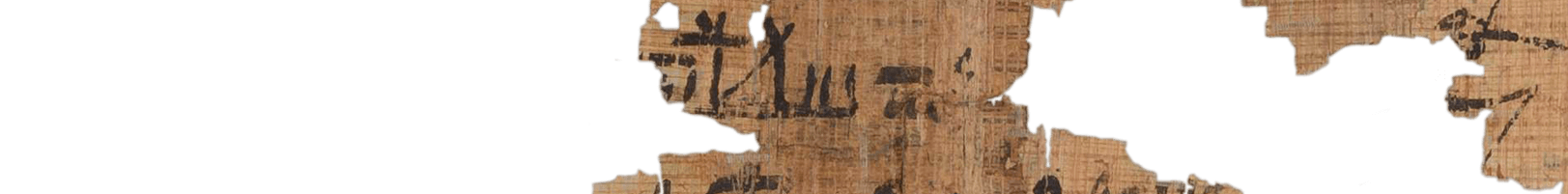 photo of the hieratic text