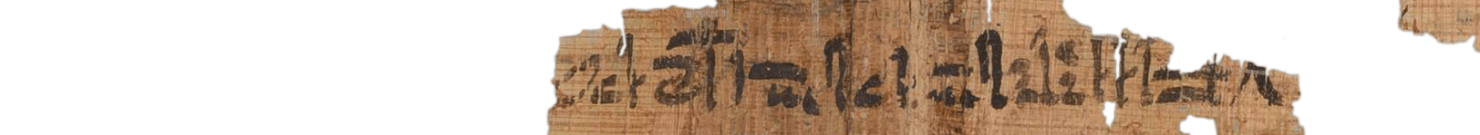 photo of the hieratic text