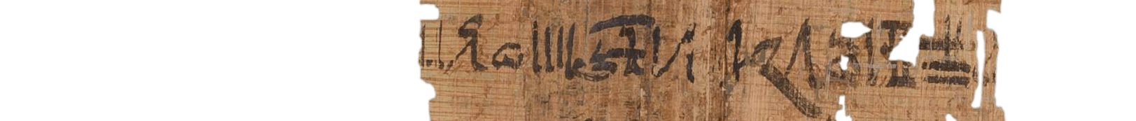 photo of the hieratic text