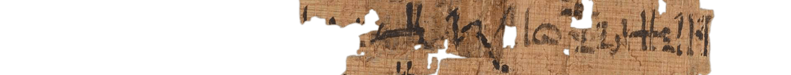 photo of the hieratic text