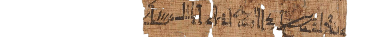 photo of the hieratic text
