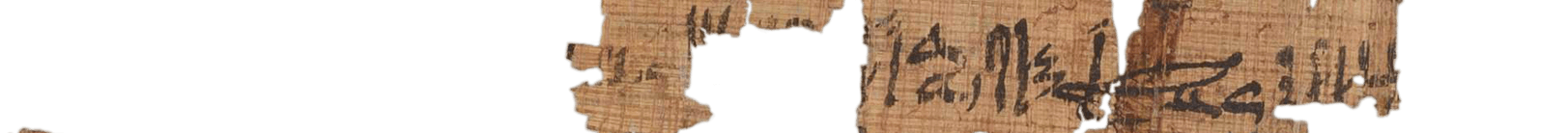 photo of the hieratic text