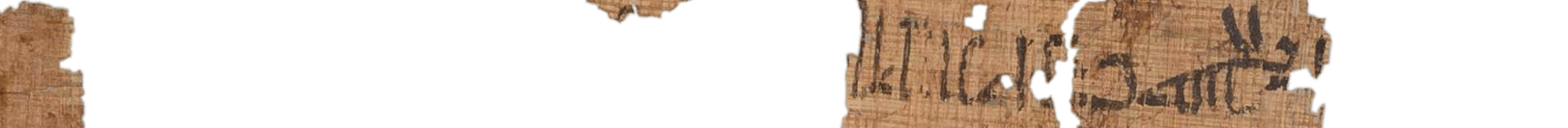 photo of the hieratic text