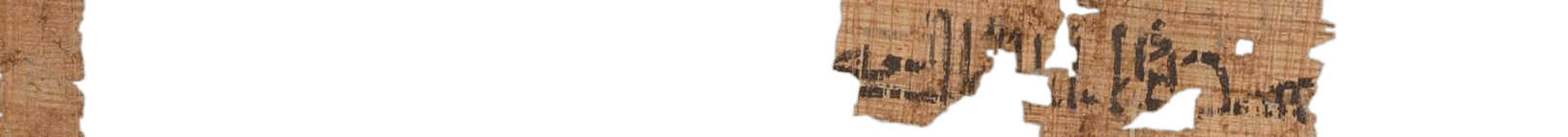 photo of the hieratic text