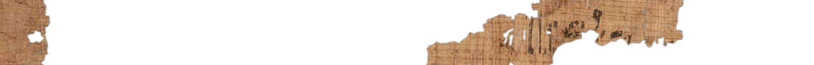 photo of the hieratic text