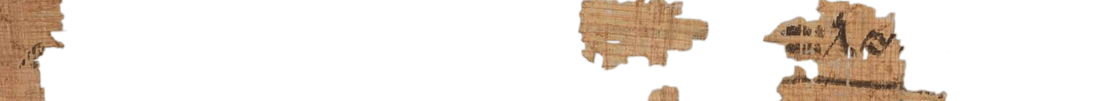 photo of the hieratic text