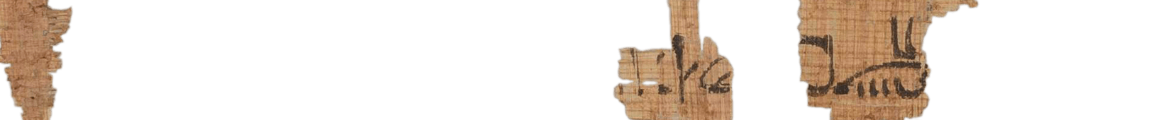 photo of the hieratic text