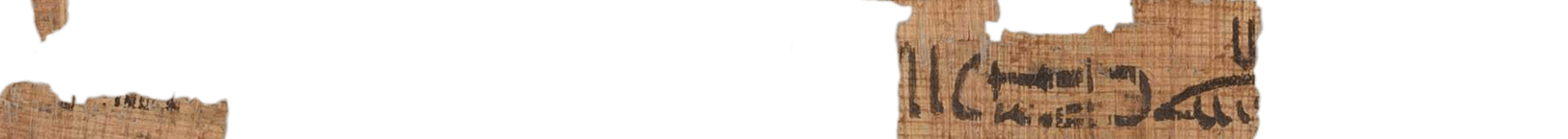 photo of the hieratic text