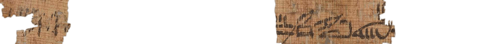 photo of the hieratic text