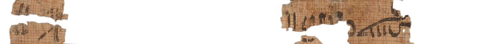 photo of the hieratic text