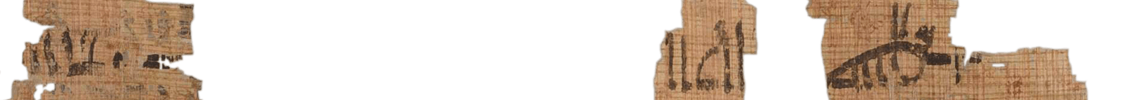 photo of the hieratic text