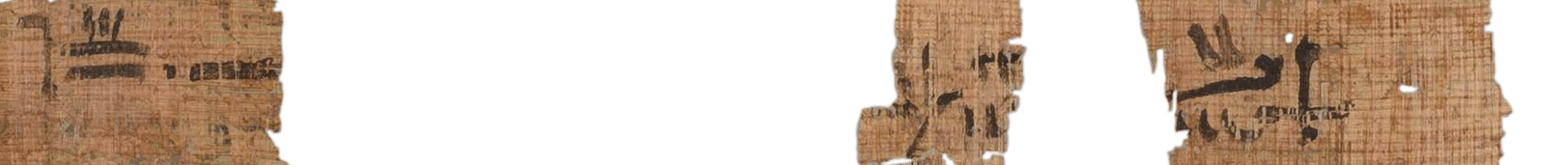 photo of the hieratic text