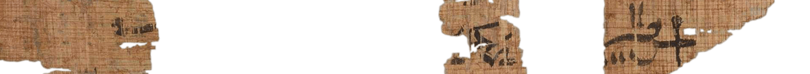 photo of the hieratic text