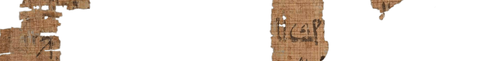 photo of the hieratic text