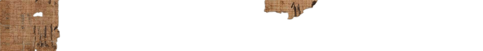 photo of the hieratic text