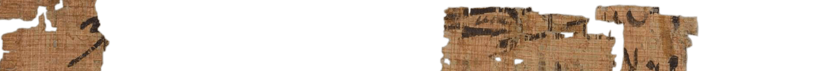 photo of the hieratic text