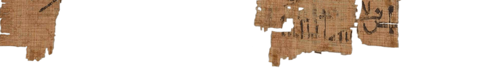 photo of the hieratic text