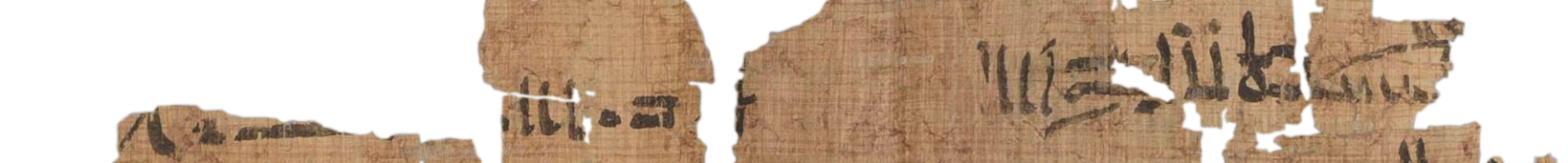 photo of the hieratic text