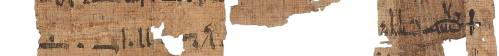 photo of the hieratic text