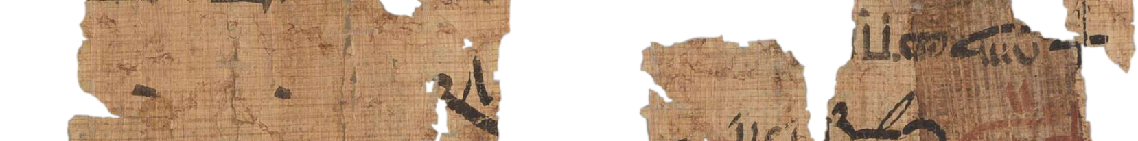 photo of the hieratic text