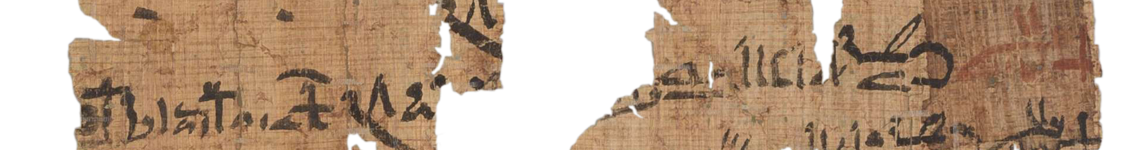 photo of the hieratic text