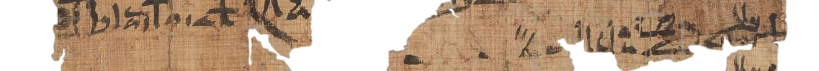 photo of the hieratic text