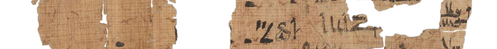 photo of the hieratic text