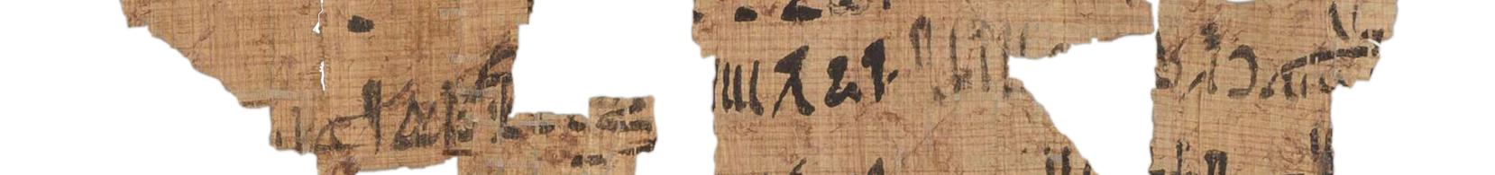 photo of the hieratic text