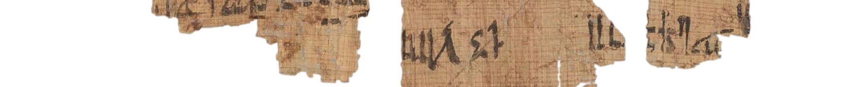 photo of the hieratic text