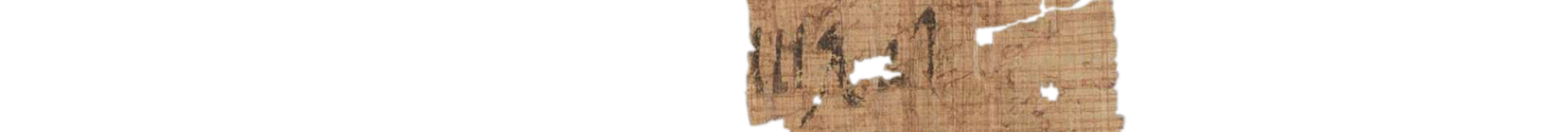 photo of the hieratic text