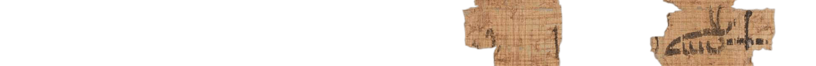 photo of the hieratic text