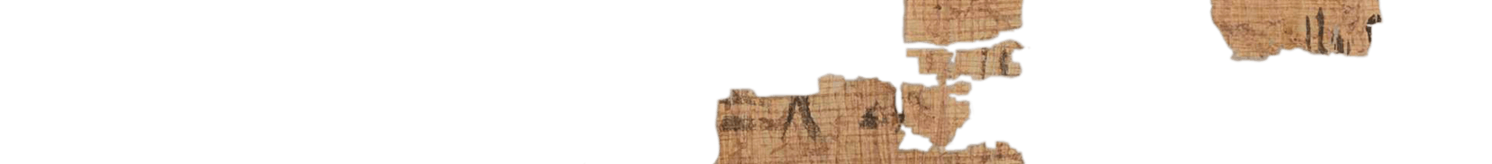 photo of the hieratic text