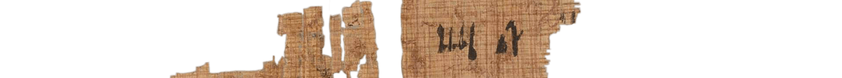 photo of the hieratic text