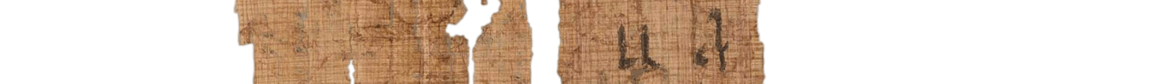 photo of the hieratic text