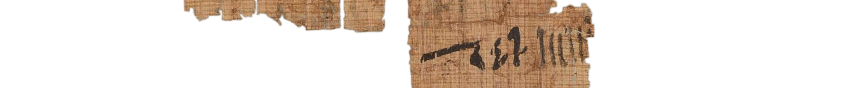 photo of the hieratic text