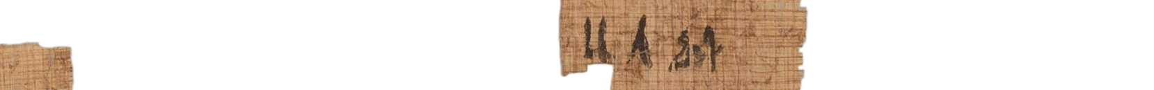 photo of the hieratic text