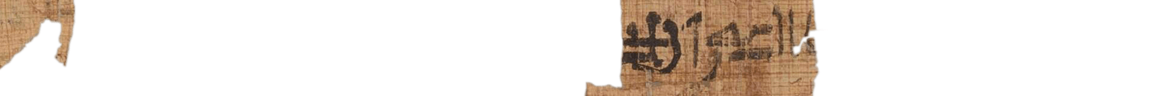 photo of the hieratic text