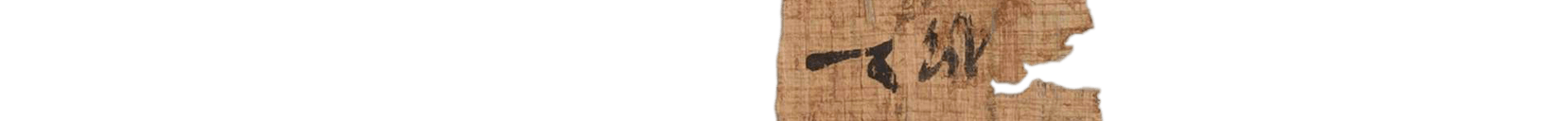 photo of the hieratic text