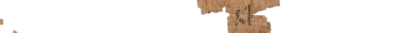 photo of the hieratic text