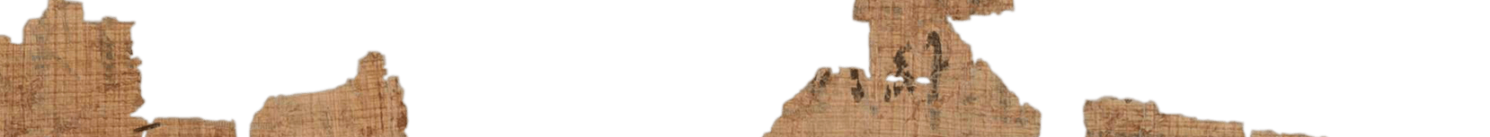 photo of the hieratic text