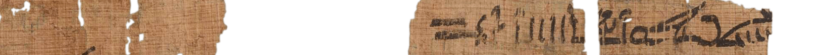 photo of the hieratic text