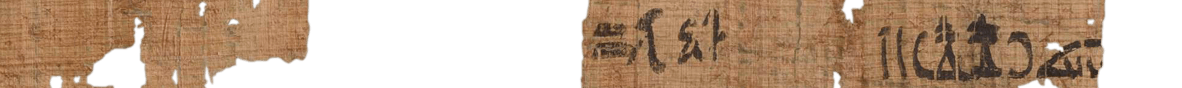 photo of the hieratic text