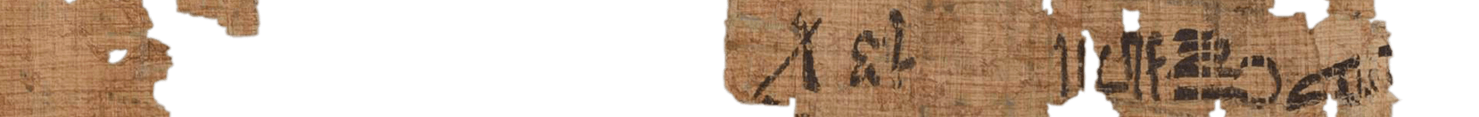 photo of the hieratic text