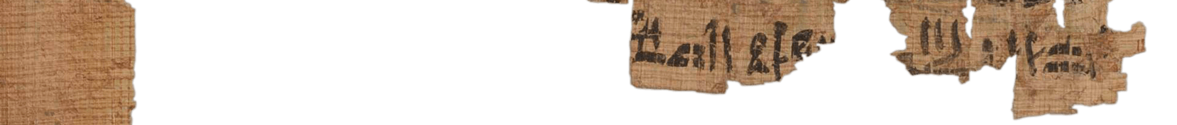 photo of the hieratic text